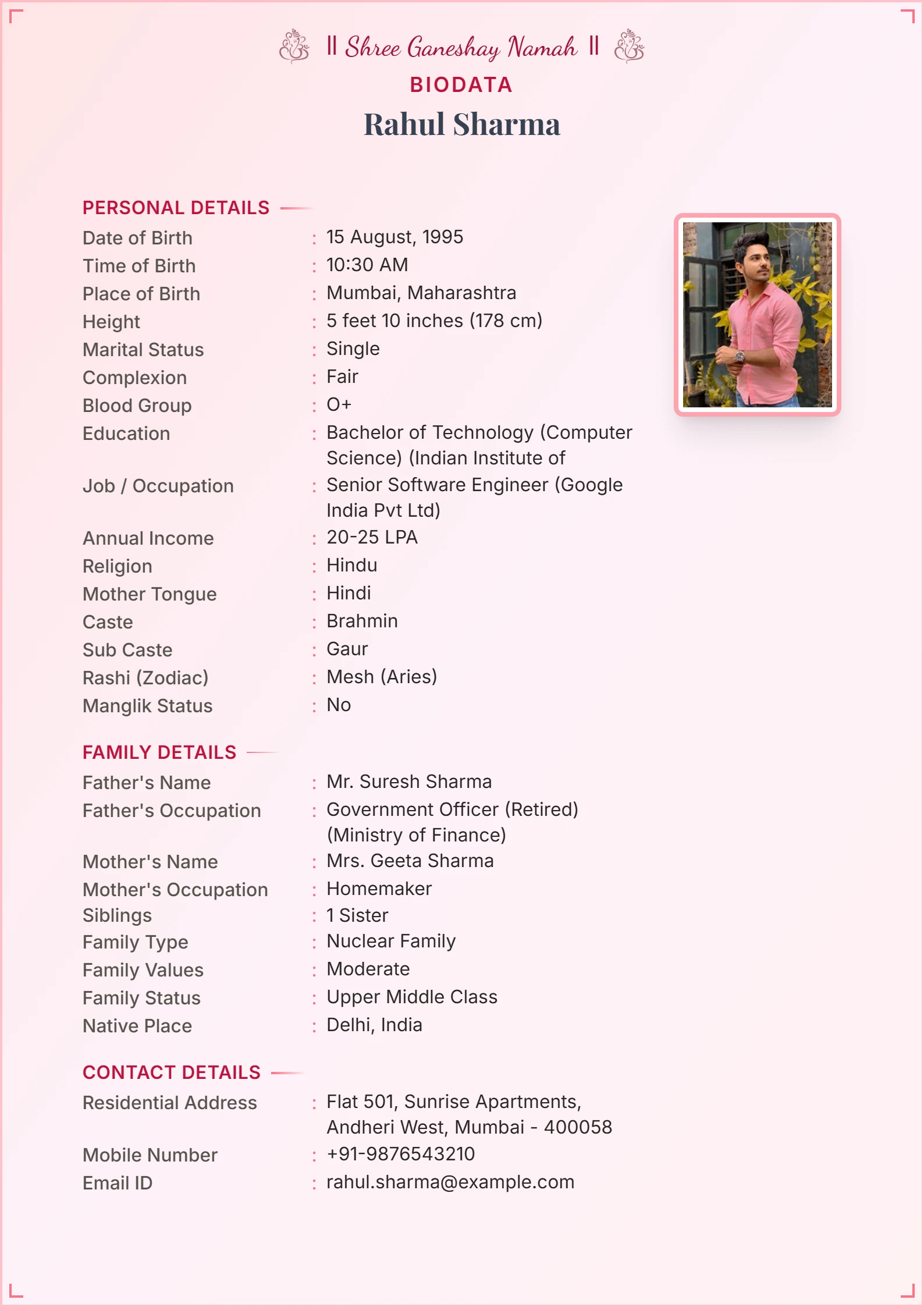 Wedding biodata format for boy sample 2
